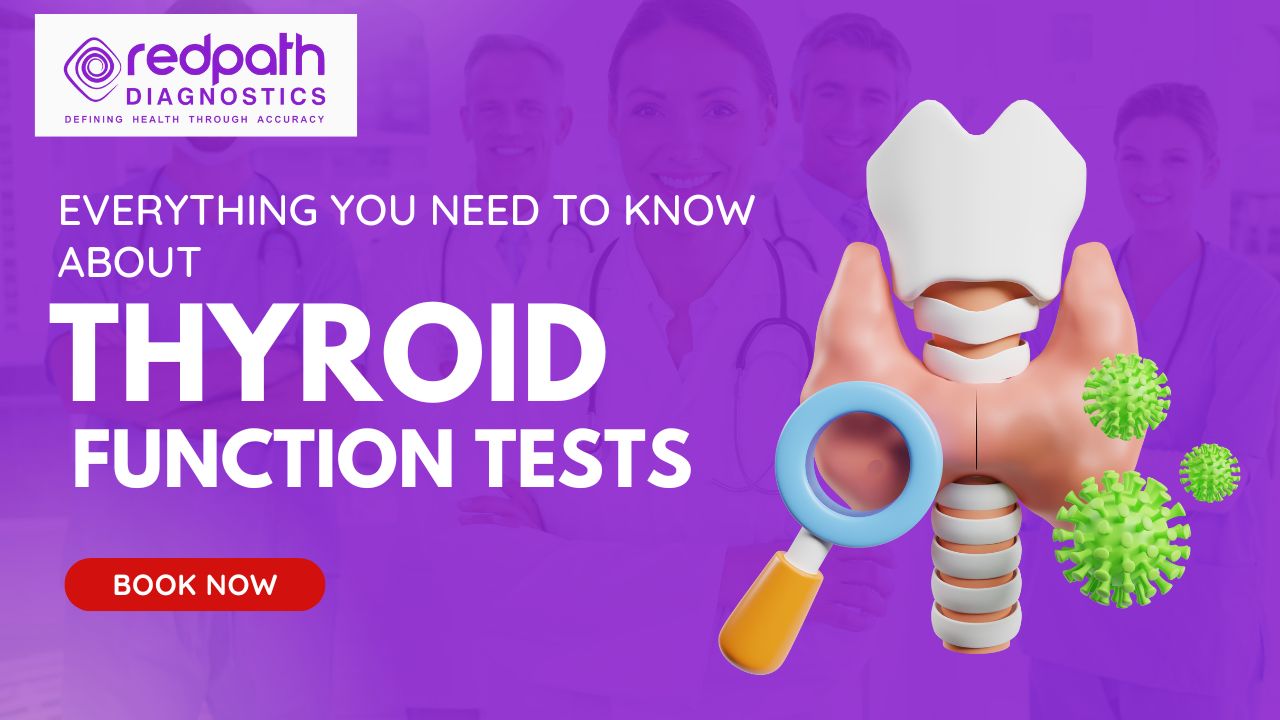 Everything You Need to Know About Thyroid Function Tests