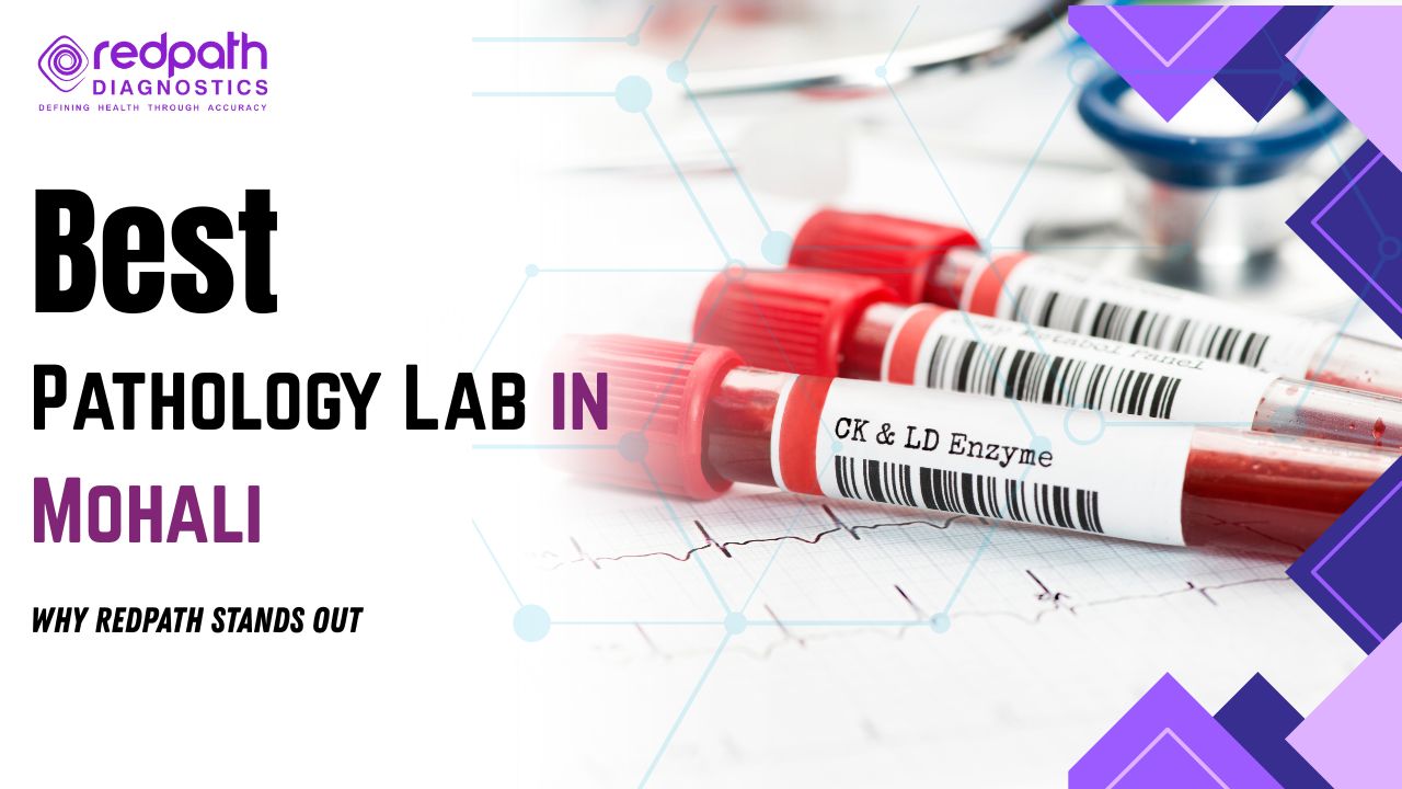 Best Pathology Lab in Mohali – Why RedPath Stands Out